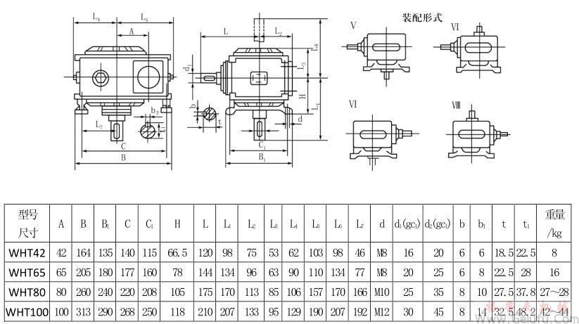 WHT42、WHT65、WHT80、WHT100型圆弧圆柱蜗杆减速机Ⅴ&mdash;Ⅷ式安装型式及尺寸JB2318&mdash;79
